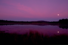 Blood Moon Sunset at Compass Point Along the Golden Road, Maine.