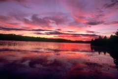 Golden Road Sunset Maine
