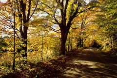 Natures Pathway Danville,Vermont