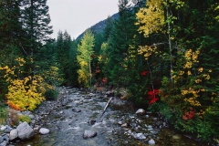 Northwest Colors