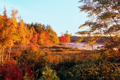 River Pond Colors 3 Northern Maine Along the Golden Road.